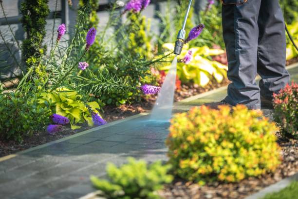 Best Dumpster Area Cleaning  in Rawls Springs, MS